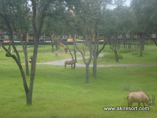 Room view 2
